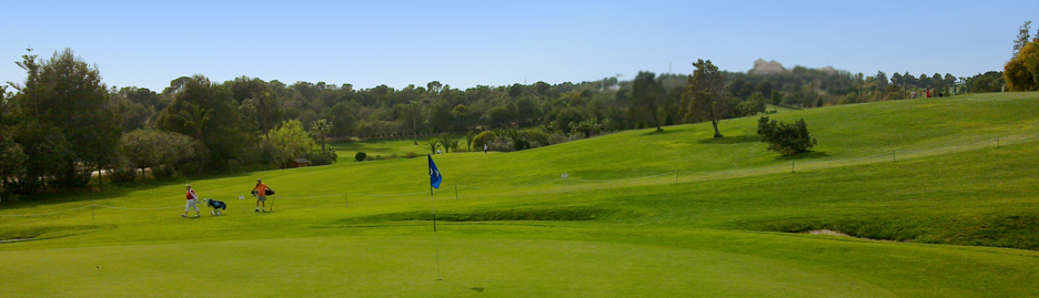 green och fairway